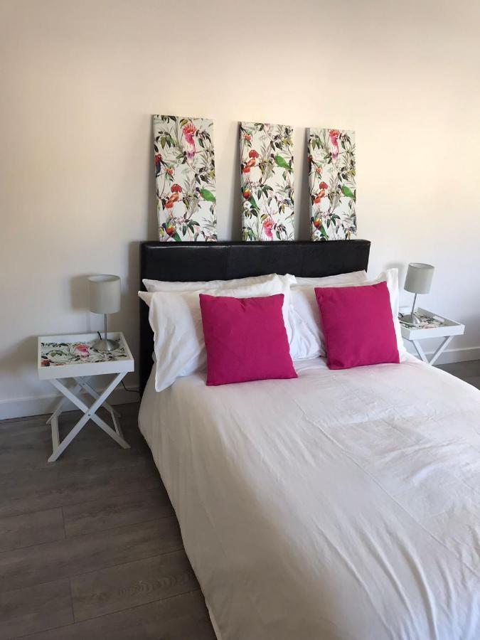 Ella Court Devon Appartamento Torquay Esterno foto